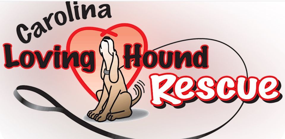 Carolina Loving Hound Rescue 12th Anniversary Celebration