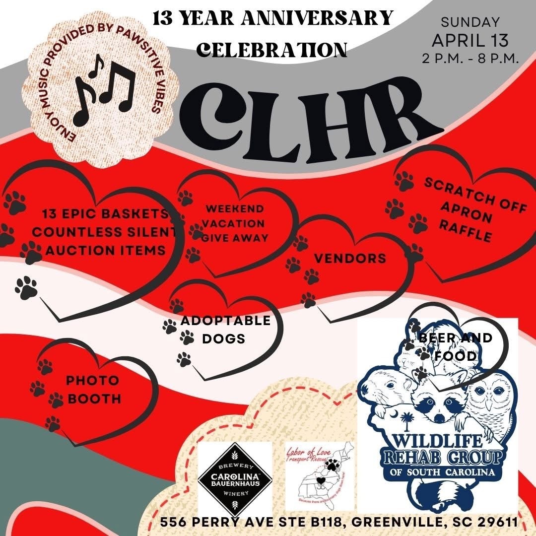 Carolina Loving Hound Rescue 13th Anniversary