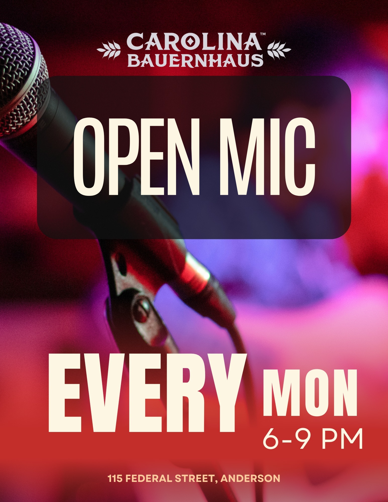 Open Mic Night