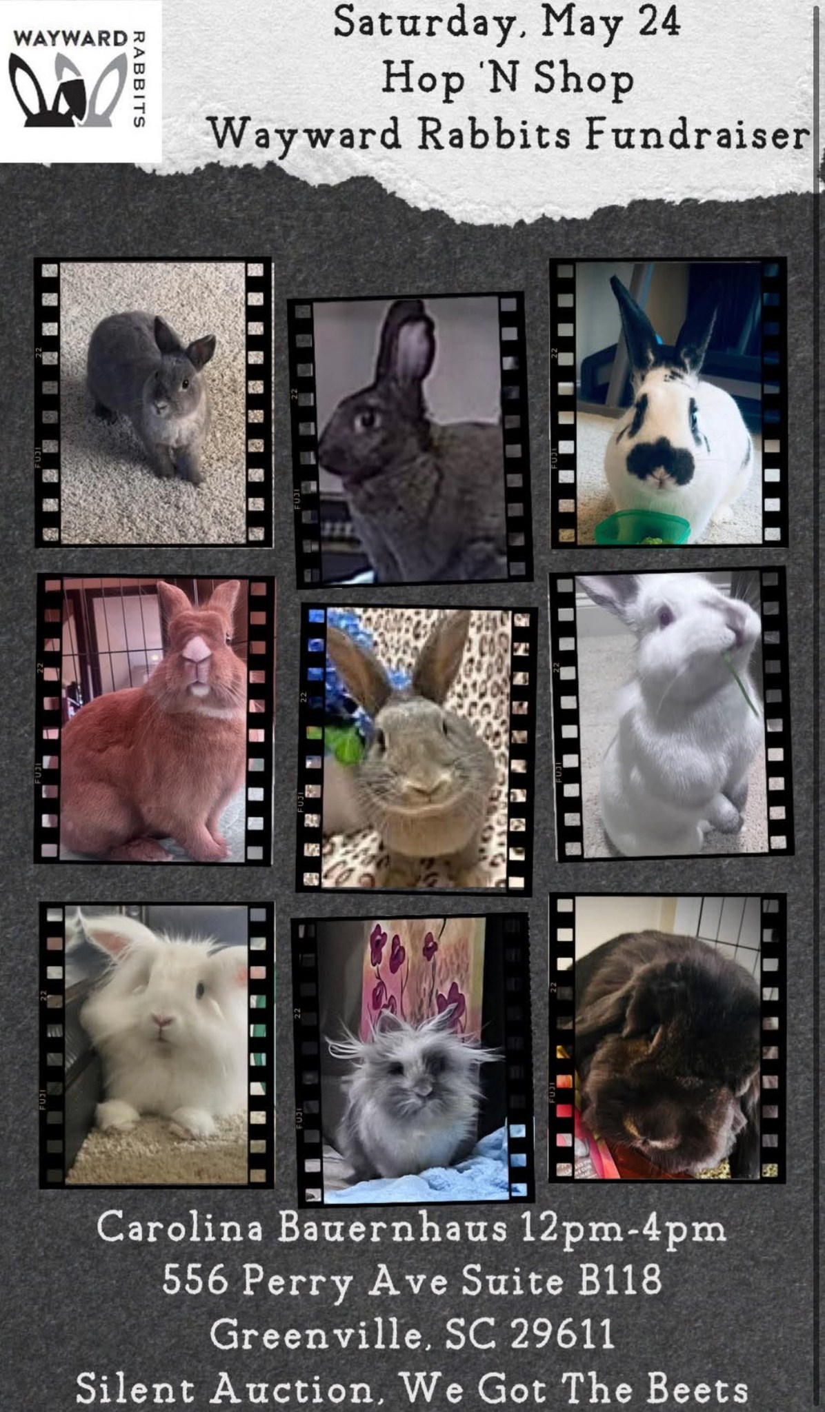 Hop N' Shop Wayward Rabbits Fundraiser